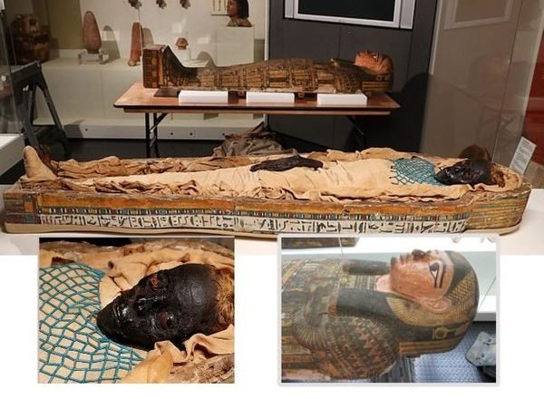 रिसर्च में खुलासा:2600 साल पुरानी ममी की हत्या चाकू से नहीं, तेज धार कुल्हाड़ी से की गई थी, इसका इस्तेमाल इजिप्ट के सैनिक करते थे