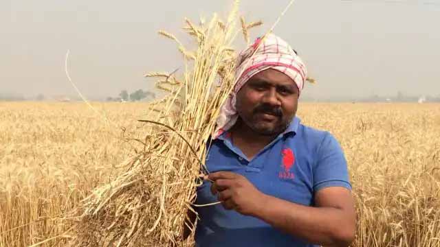 पीएम किसान के लाभार्थी हैं तो 36000 रुपये दे रही मोदी सरकार