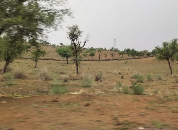 राजस्थान में मानूसन के साथ कम हुई गर्मी:4 डिग्री तक गिरा तापमान, करौली व श्रीगंगानगर को छोड़ पूरे राज्य मे तापमान 40 से नीचे, जयपुर सहित कई जिलों में बारिश की चेतावनी