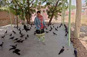 पति-पत्नी का पक्षियों के साथ अनूठा प्रेम