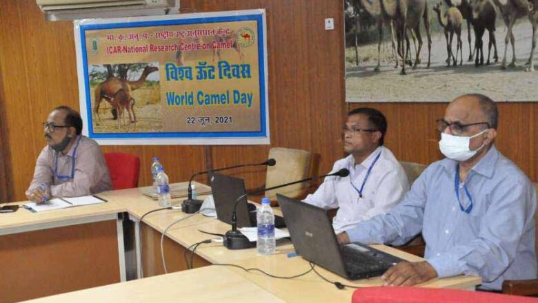 उष्ट्र प्रजाति के विकास और संरक्षण के लिए विश्व में उत्पादकता को बढ़ाएं