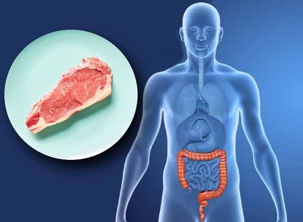इसलिए रेड मीट से है कैंसर का खतरा:रेड मीट इंसान का DNA डैमेज करके कोलोन कैंसर का रिस्क बढ़ाता है, इसमें मौजूद नाइट्रेट केमिकल भी है खतरनाक