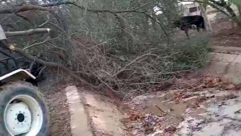 अंधड़ से नहरों में गिरे पेड़, टूटने की आशंका