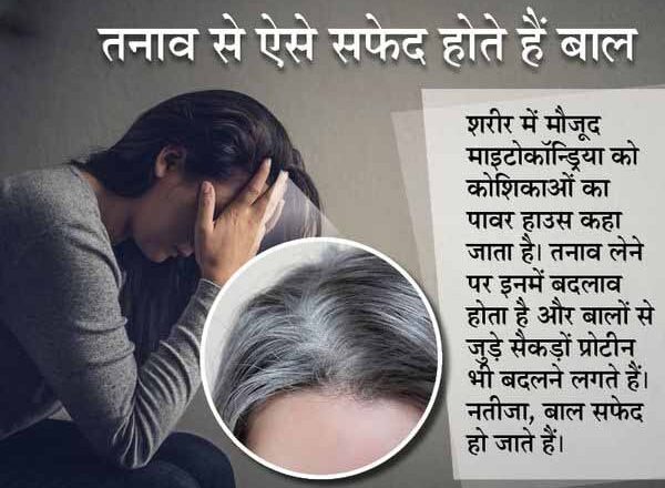 बालों के सफेद होने की एक वजह तनाव भी, स्ट्रेस कम करते हैं तो बालों का पुराना रंग वापस लौट सकता है; अमेरिकी वैज्ञानिकों का दावा