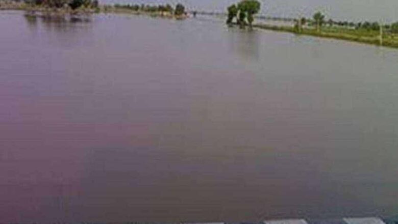 अब घग्घर नदी में पानी आने की बाट जोह रहे धरतीपुत्र, जिले में 35 हजार हेक्टेयर में धान की बिजाई का लक्ष्य
