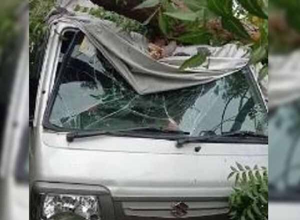 बारिश से रेगिस्तान में बहने लगी नदी:जैसलमेर, बीकानेर, बाड़मेर में जमकर बरसा पानी, ठंडी हवा की आंधी में गायब हुई तपन; जयपुर, भरतपुर संभाग में उमस-गर्मी ने छुटाएं पसीने