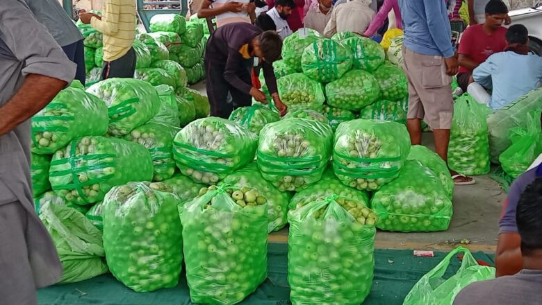 कृषि मंडी में टिंडों की अच्छी आवक