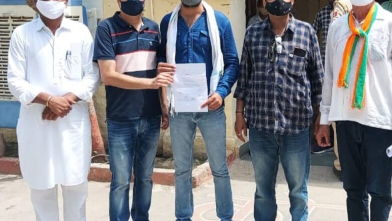 शहर में बढ़ी कुत्तों की संख्या गलियों से निकलना मुश्किल