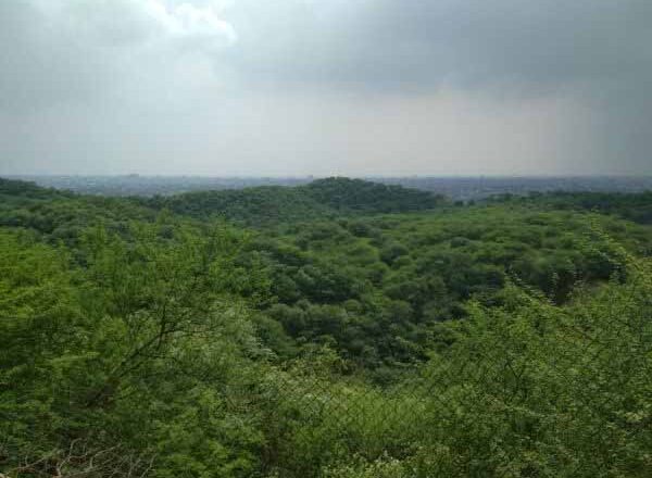 जयपुर में बूंदाबांदी, उदयपुर संभाग में भारी बारिश की चेतावनी; मानसून के सुस्त होने के कारण कई जिलों में सामान्य से कम हुई बारिश
