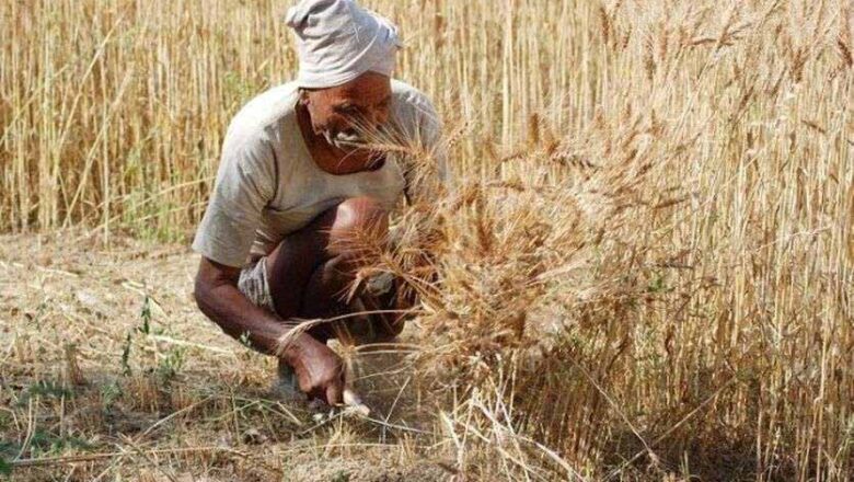 वर्षों बाद भी नहीं मिला खुद की खेती का अवसर