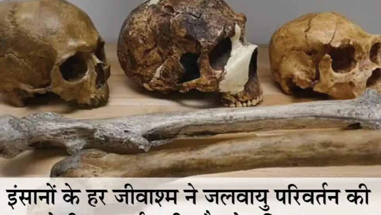 जलवायु परिवर्तन के कारण इंसानों की लम्बाई घट सकती है और दिमाग सिकुड़ सकता है, इंसानों के 300 जीवाश्मों की जांच में हुआ खुलासा