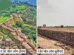 राजस्थान में बनेगी कुंभलगढ़ से भी लंबी दीवार:जानवरों और पेड़ों को बचाने के लिए बीकानेर में बनेगी 40 किमी लंबी दीवार; 5 करोड़ खर्च होंगे, 15 मिनट में जुटा लिए 50 लाख रुपए