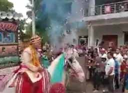 दूल्हे को लेकर भागी घोड़ी, तोरण भरने की चल रही थी तैयारी, इतने में बच्चे ने पटाखा छोड़ दिया; बिदकी घोड़ी को बारातियों ने 4 किलोमीटर तक पीछा करके पकड़ा