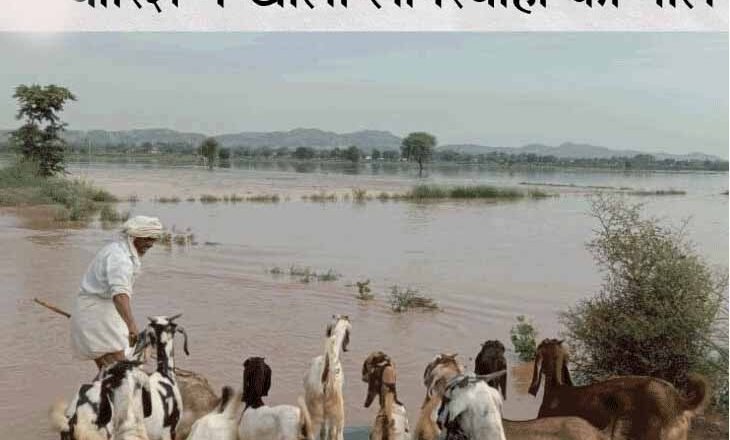अलवर में भारी बारिश से बांध टूटा:मिट्‌टी के कट्‌टे भी नहीं झेल पाए तेज धार, एक तिहाई से अधिक पानी निकला, सैकड़ों एकड़ खड़ी फसल बर्बाद