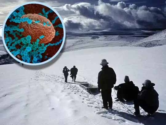 22 हजार फीट ऊंचाई पर मिले वायरस:तिब्बत के ग्लेशियर पर 15 हजार साल पुरानी बर्फ में 28 ऐसे नए वायरस मिले जिससे वैज्ञानिक भी अंजान; बोले, ये बुरी स्थिति में जिंदा रह सकते हैं
