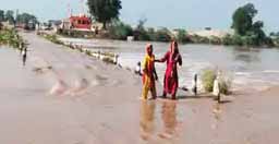 दो दिन अच्छी बारिश के आसार:हनुमानगढ़ में बारिश के बाद घग्गर नदी उफान पर; आज उदयपुर-कोटा और सोमवार को जयपुर-भरतपुर संभाग में भारी बारिश-बिजली गिरने की चेतावनी