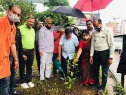 कटारिया ने बारिश में छाता लगाकर दिया पौधों को पानी:सोशल मीडिया पर बोले यूजर- कितने तेजस्वी लोग हैं हमारे पास, जमकर उड़ा मजाक