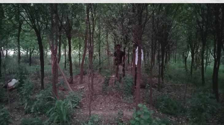 3 करोड़ रुपए के 250 पेड़:किसान ने 5 साल पहले लगाए&nbsp;थे चंदन के पेड़; 550 रुपए में एक पौधा लेकर आया था, जो 6 साल बाद डेढ़ लाख रुपए&nbsp;में बिकेगा
