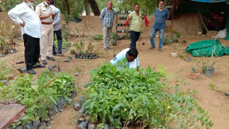 न्यास ने ढोला मारू के सामने से हटवाए ठेले और नर्सरी