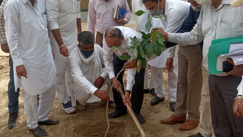 संभागीय आयुक्त मेहरा ने मिर्जेवाला में बीएडीपी के कार्यों का किया निरीक्षण