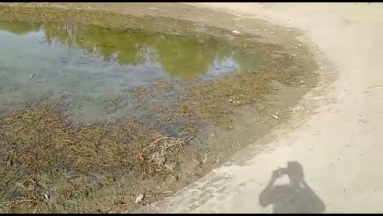 पेयजल डिग्गियों में गंदगी देख व्यक्त किया रोष