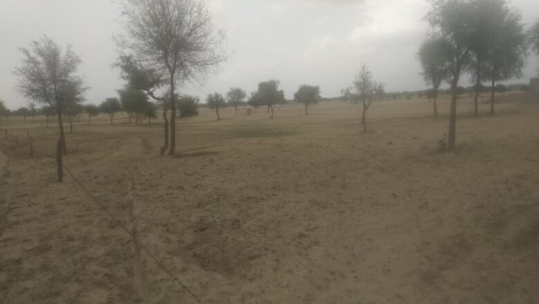 बारिश के इंतजार में खराब हो रही फसलें