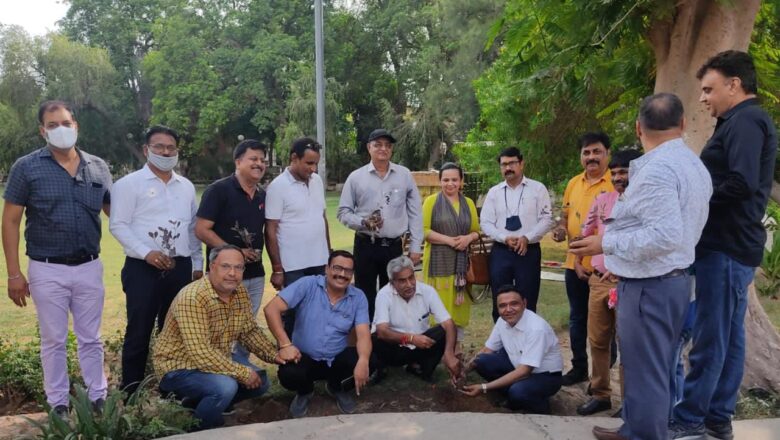 नेहरू पार्क में पौधारोपण