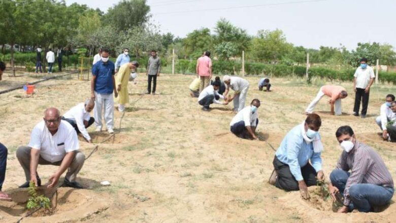 पौधरोपण से प्रकृति और पर्यावरण का संरक्षण