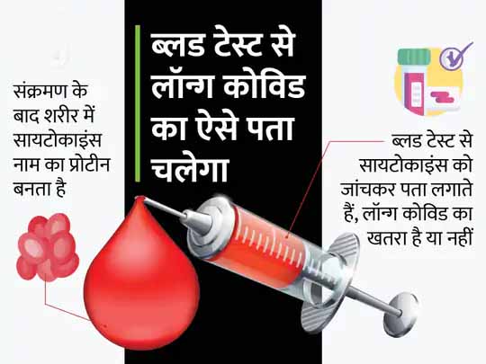 लॉन्ग कोविड की जांच:ब्लड टेस्ट से पता चल सकेगा कोरोना से रिकवरी के बाद मरीज को लॉन्ग कोविड होगा या नहीं, कैम्ब्रिज यूनिवर्सिटी के शोधकर्ताओं की रिसर्च