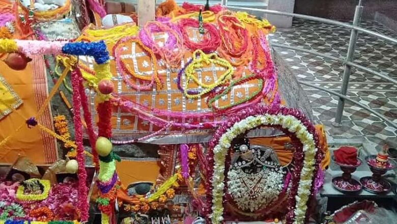 घर-घर और मंदिरों में व्रत-पूजन, ठाकुरजी के झूले का श्रृंगार