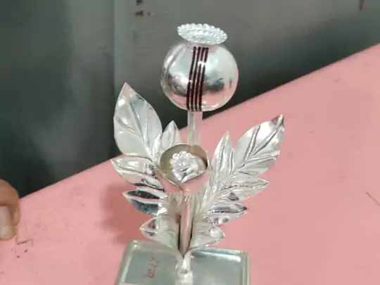 सांवलिया सेठ को चढ़ाया चांदी से बना अफीम का पौधा:MP के किसान की मन्नत थी- फसल को मौसम और तस्करों से बचाना, पैदावार भी अच्छी करना; पूरी हुई तो पहुंचा मंदिर