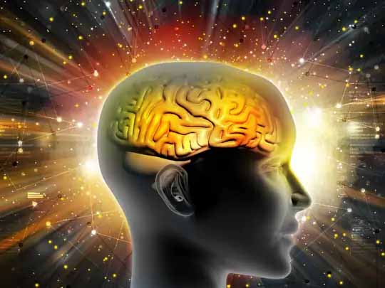 साइंस ऑफ लर्निंग:ब्रेन को एक्टिव बनाने के लिए नई भाषा सीखें और दोनों हाथों का इस्तेमाल करें; ऐसी एक्टिविटीज मस्तिष्क को तेज बनाती हैं