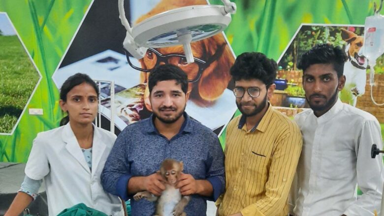 बुरी तरह झुलसी बंदरिया का टांटिया वेटरनरी क्लिनिक में सफल उपचार