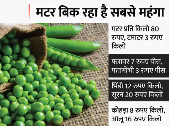 तीन सालों में सबसे सस्ती सब्जी:सभी सब्जियों की कीमत 3 से 20 रुपए किलो के बीच, किसानों को लागत निकालना भी मुश्किल