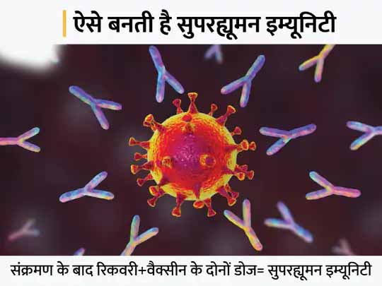 सुपरह्यूमन इम्यूनिटी से हारेगा कोरोना:कोविड के बाद वैक्सीन लेने वालों बन रही सुपर इम्यूनिटी, इसमें वायरस के खतरनाक वैरिएंट्स को मात देने की क्षमता; जानिए यह कैसे काम करती है