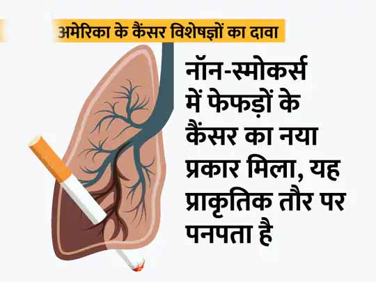 नेशनल कैंसर रिसर्च इंस्टीट्यूट की रिसर्च:धूम्रपान न करने वालों में क्यों होता है फेफड़ों का कैंसर, वैज्ञानिकों ने बताई वजह, कहा; DNA का डैमेज होना या कैंसर फैलाने वाले तत्व हैं कारण