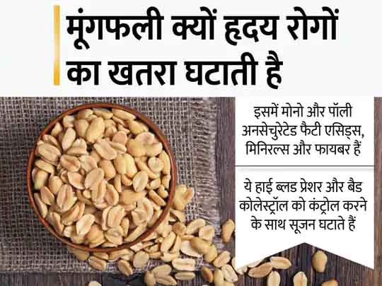 मूंगफली और दिल के रोगों का कनेक्शन:एशियाई लोगों में मूंगफली दिल की बीमारियों का खतरा घटाती है, हफ्ते में 5 दिन बिना नमक वाली मूंगफली खाने से रिस्क कम होता है
