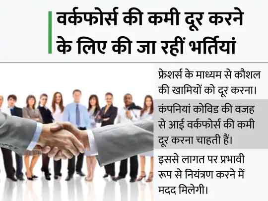 अब बरसेंगी नौकरियां:सीनियर पदों पर भर्ती करने के बाद अब फ्रेशर्स की तलाश में भारतीय कंपनियां