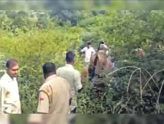 गाड़ियों के हॉर्न पैटर्न बदलने की तैयारी:गडकरी बोले- एंबुलेंस और गाड़ियों में तबला, शंख, हारमोनियम वाले हॉर्न होंगे, 2 साल में GPS से कनेक्ट होंगे टोल नाके