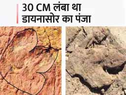 डायनासोर का फुट प्रिंट चोरी:7 साल पहले 20 साइंटिस्ट ने जैसलमेर की पहाड़ियों पर खोजा था 15 करोड़ साल पुराना फुट प्रिंट, 1 महीने पहले कोई ले गया