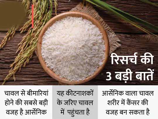 चावल के शौकीनों को अलर्ट करने वाली रिसर्च:हड़बड़ी में बनाए गए चावल खाने से हो सकता है कैंसर, इंग्लैंड के वैज्ञानिकों की रिसर्च; जानिए कब और कैसे बढ़ता है कैंसर का खतरा
