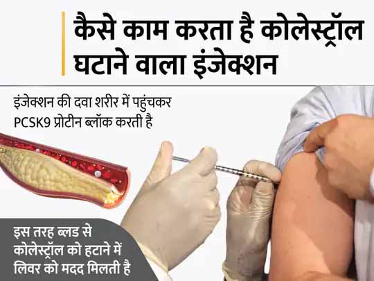 कोलेस्ट्रॉल की दवा का नया विकल्प:अब साल में दो बार इंजेक्शन लगवाकर 50% तक घटा सकेंगे कोलेस्ट्रॉल, यूके में मरीजों को मिला नया विकल्प; घटेंगे हृदय रोगों के मामले