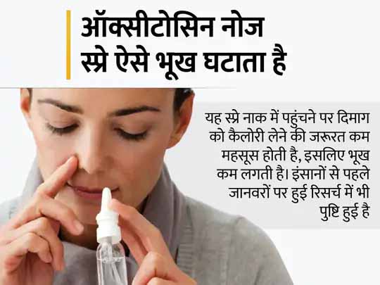 वजन घटाएगा ‘लव हार्मोन’:वजन घटाएगा नोज स्प्रे, इसमें मौजूद ऑक्सीटोसिन हार्मोन खाने की इच्छा पर कंट्रोल करेगा और मोटापा घटेगा; लंदन के शोधकर्ताओं का दावा