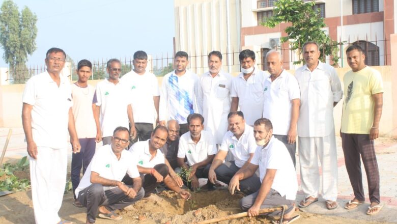 स्मृति में मय ट्री गार्ड रोपे 21 पौधे