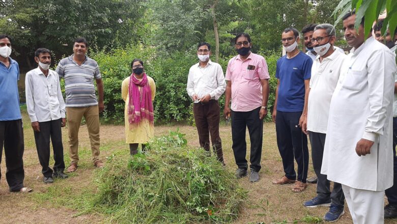 साफ-सफाई कार्यक्रम आयोजित