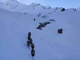 माउंट त्रिशूल पर चढ़ाई करने जा रहे नौसेना के 5 जवान और एक पोर्टर लापता