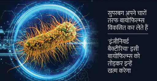 हॉस्पिटल्स में खतरनाक संक्रमण फैलाने वाले सुपरबग को खास तरह के बैैक्टीरिया से खत्म करने की कोशिश