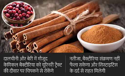 दालचीनी और बेरी से बनाई गई दवा, इससे पेशाबनली के संक्रमण और दर्द को दूर करने की कोशिश