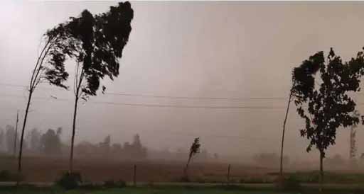 बीकानेर, जोधपुर संभाग में कल से बारिश:40-50 KM की स्पीड से चलेगी हवा