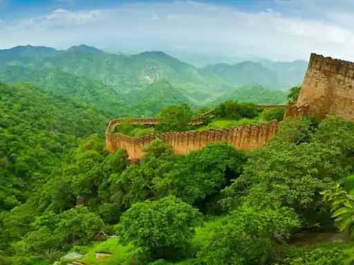 राजस्थान में एक जगह पैंथर, भालू और मगरमच्छ सफारी